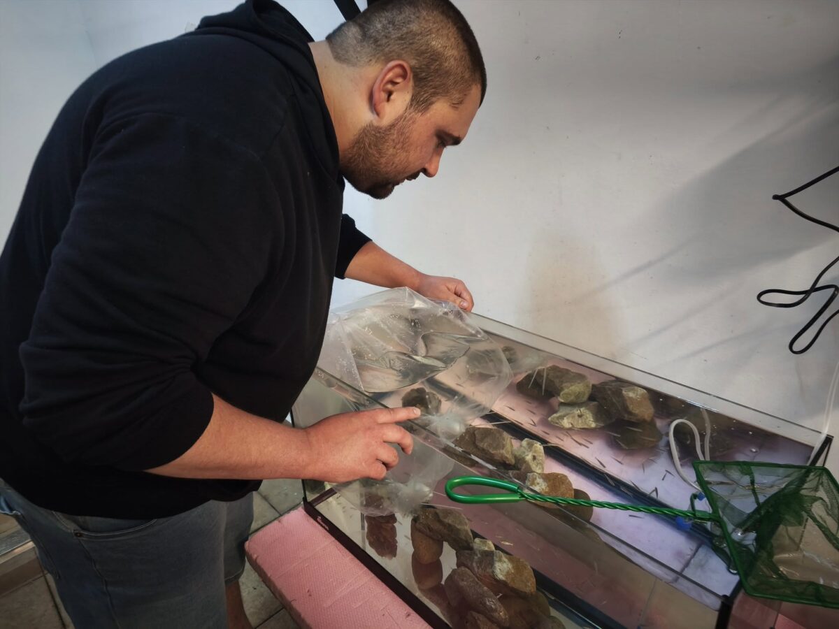 Specie dispărută, reprodusă în captivitate de muzeografii din Oradea