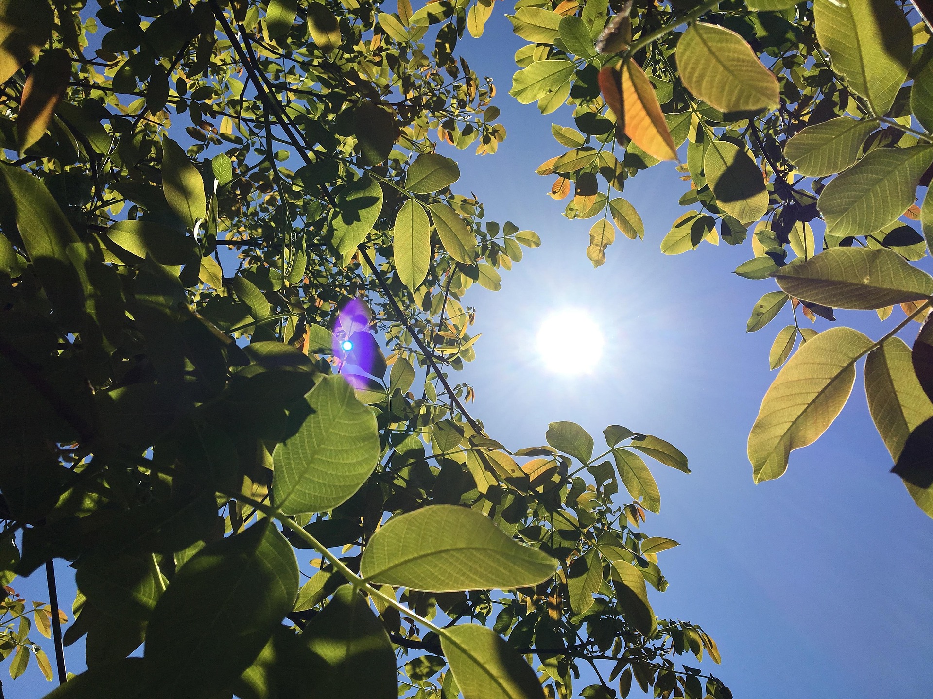 Când vine vara. Prognoza meteo pentru luna iunie