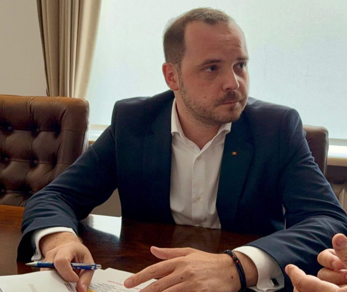 Dana Budeanu, despre Rogobete: Singurul ministru care a avut curajul să lupte cu sistemul privat