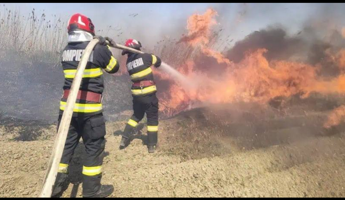 Incendiu devastator în Bihor pe sute de hectare. Un bărbat, arsuri pe 50% din corp