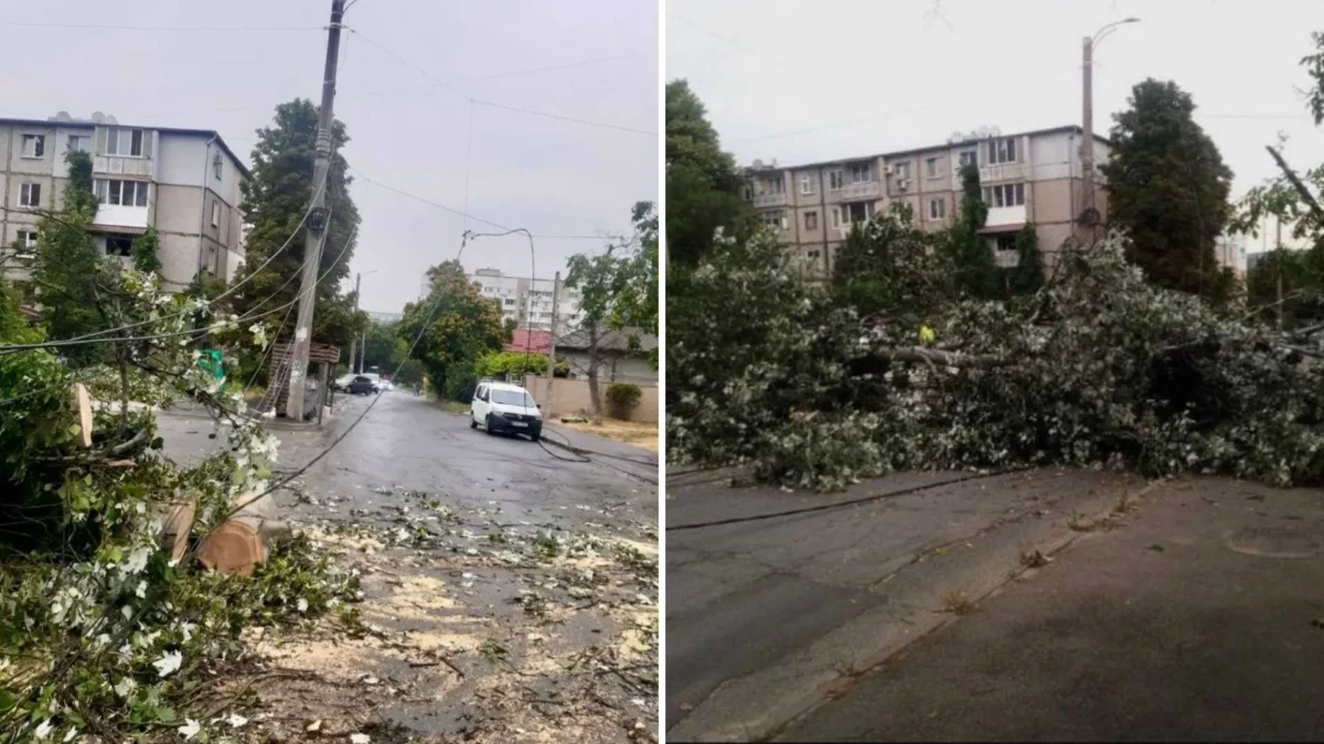 Furtună violentă în toată țara. Copaci doborâți, trafic blocat și persoane rănite