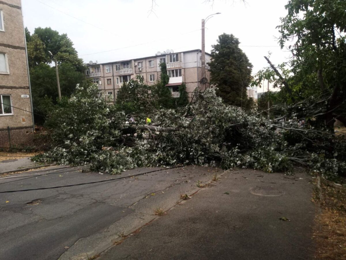 Furtuna a făcut ravagii la Chișinău. Crengi rupte și arbori doborâți pe mai multe străzi