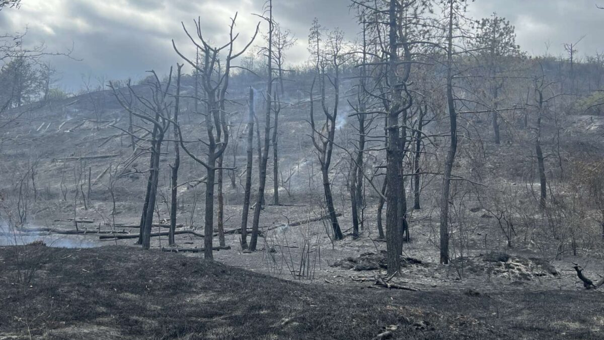 Amendă colosală dacă îți incendiezi terenul. Ce riști dacă dai foc grădinii