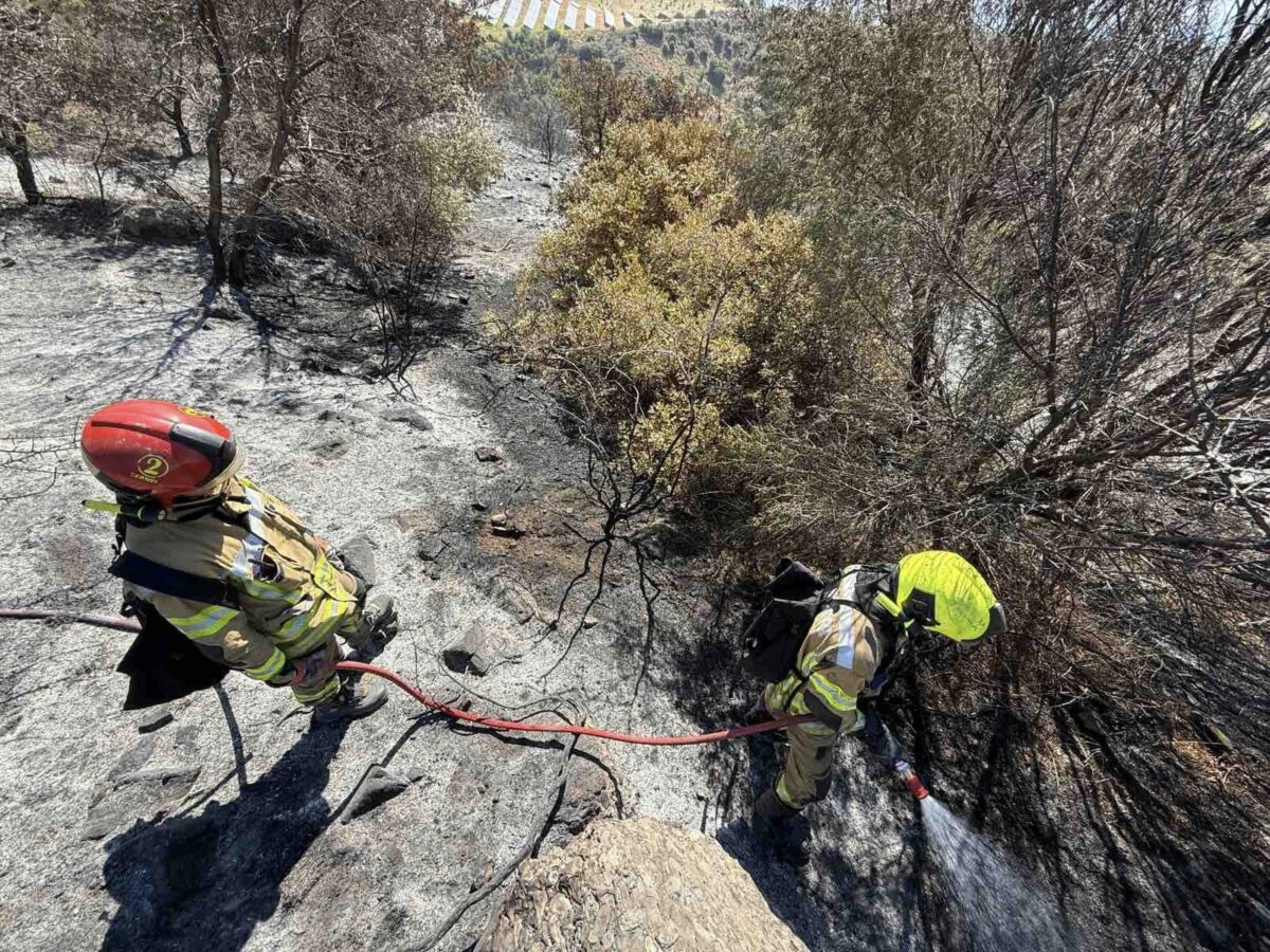 Un incendiu din Grecia, care afecta 20 de hectare, lichidat cu ajutorul salvatorilor moldoveni VIDEO