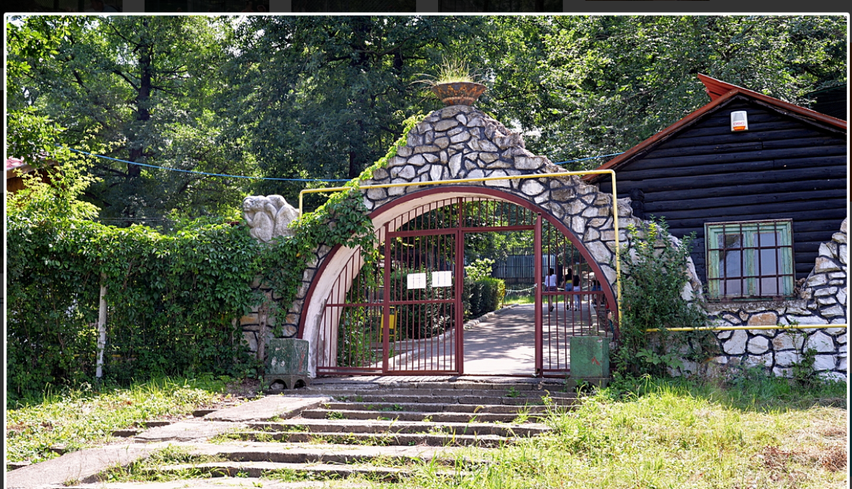 Decizie radicală. Se închide Grădina Zoologică din Hunedoara după aproape 60 de ani de la inaugurare