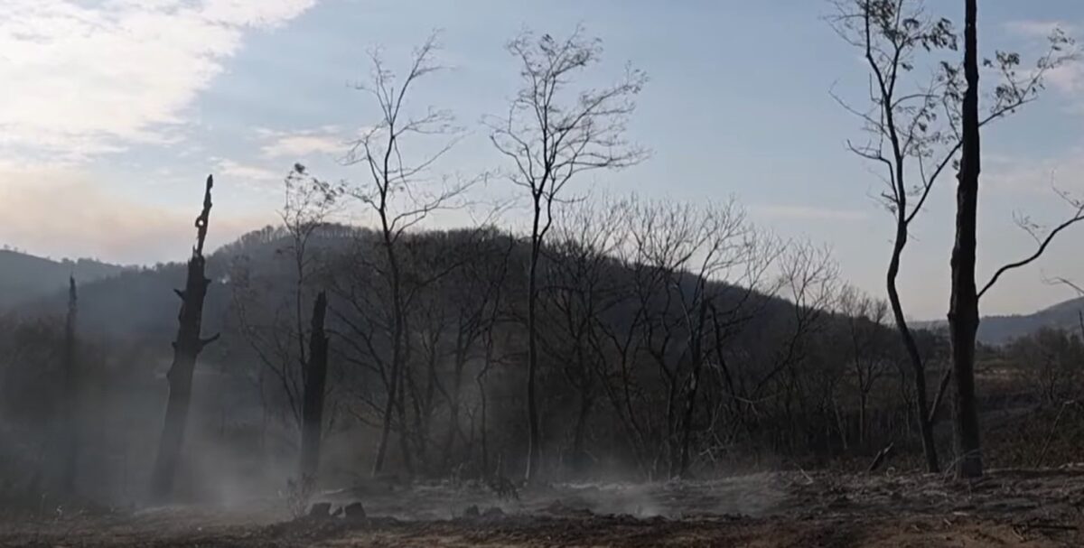 Franța. Cel mai grav incendiu din ultimii 50 de ani, sub control