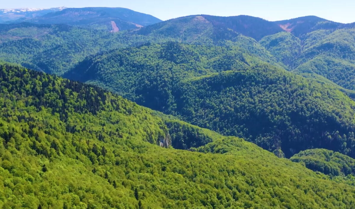 O comoară veche de 10 milioane de ani, în România. Turiștii din Asia sunt înnebuniți să o viziteze