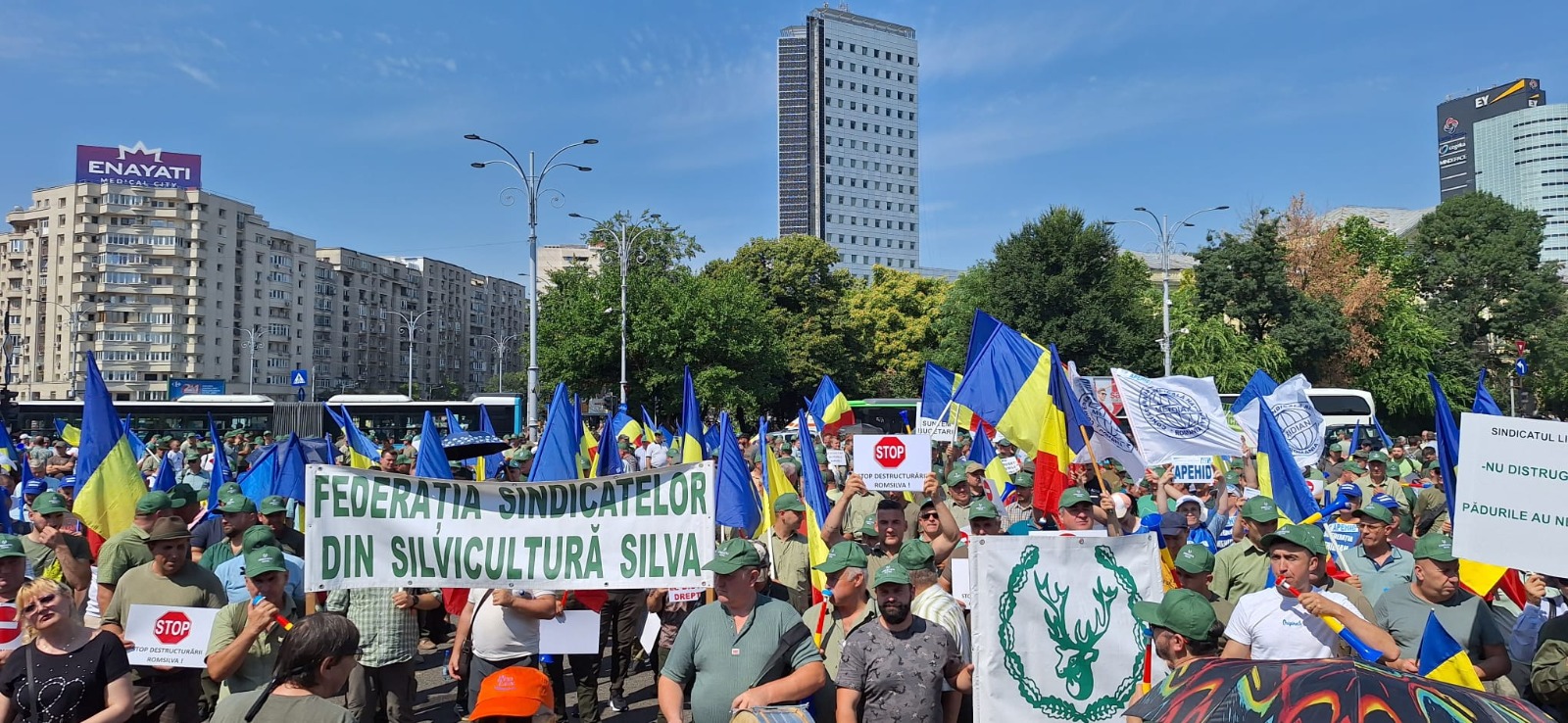 Romsilva se reorganizează. Aspiranții la posturile de director, testați. Se schimbă și mandatele