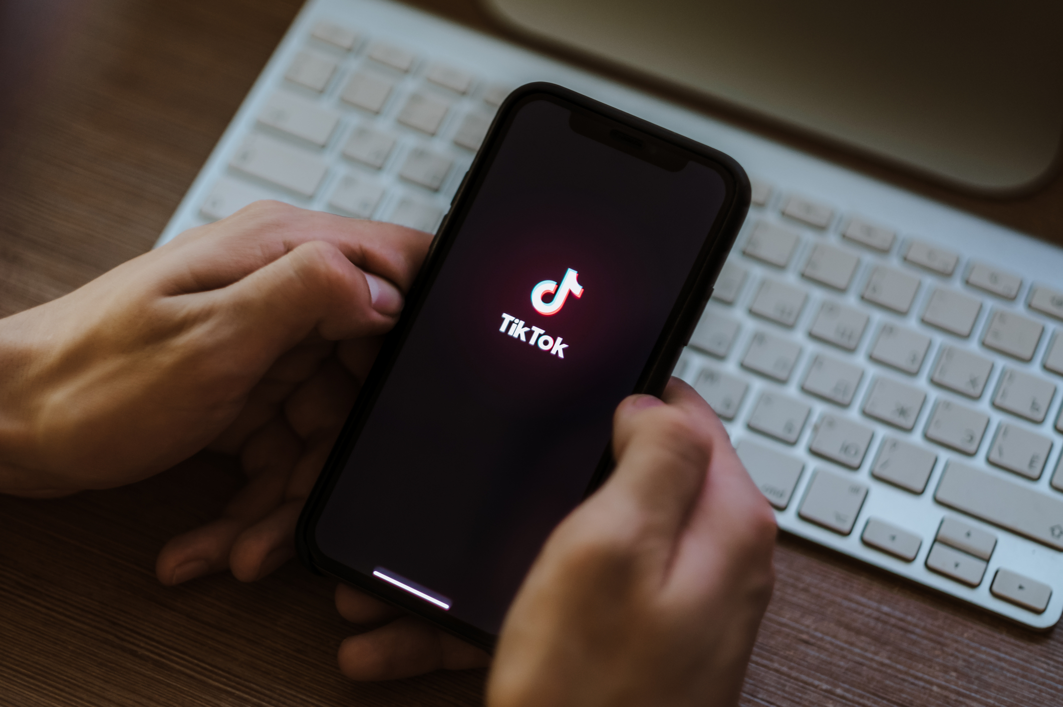 Cincisprezece persoane, arestate în Țările de Jos pentru propagandă ISIS pe TikTok 
