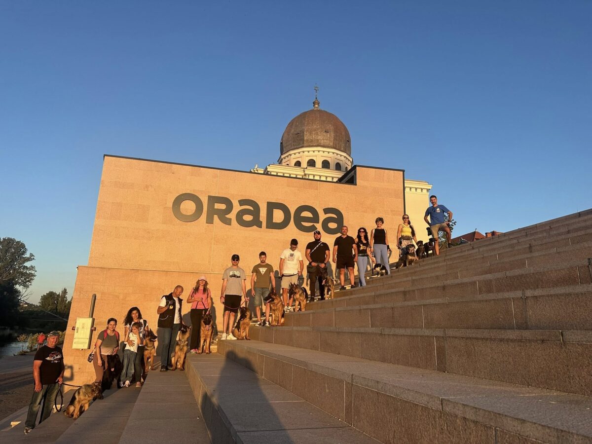 Primul oraș "pet friendly" din România. Câinii vor avea certificat de bune maniere