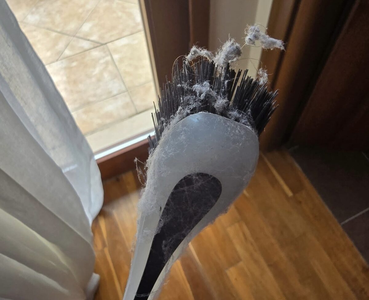 Cazare de groază în Grecia. Cuib de viespi în cameră