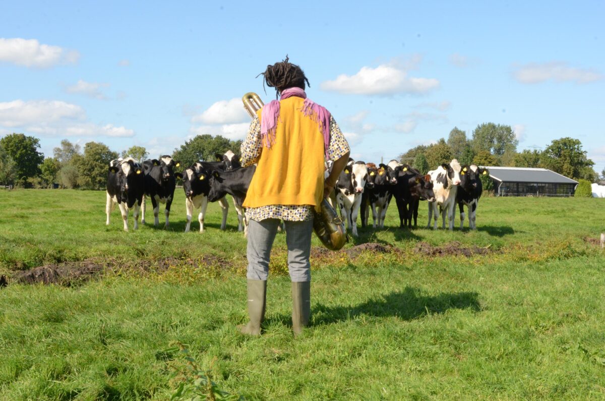 Muzică pentru vaci. Experimentele olandezei Flavia Faas devin virale