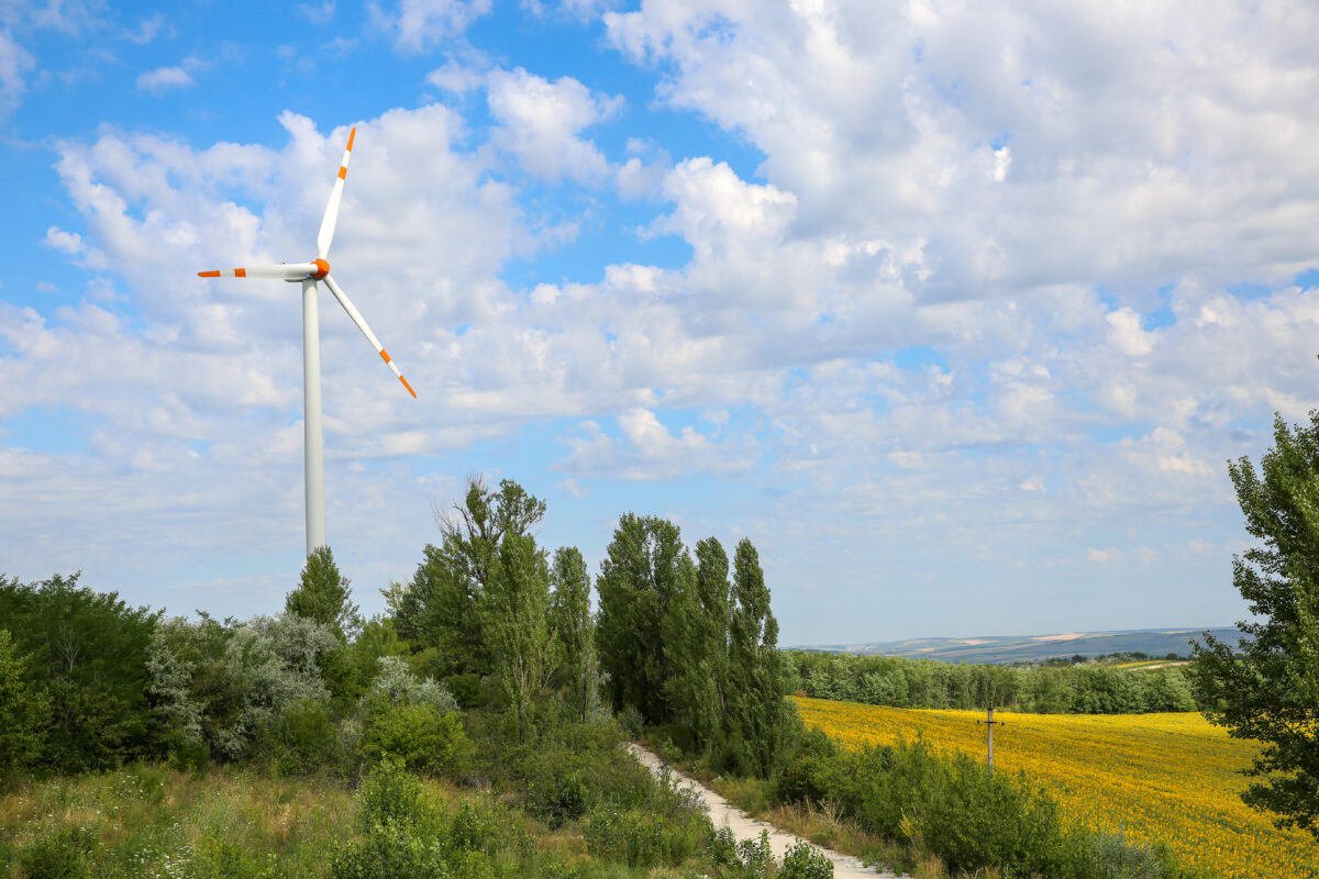 Energia verde prinde viteză în Republica Moldova. Noi parcuri eoliene și investiții record