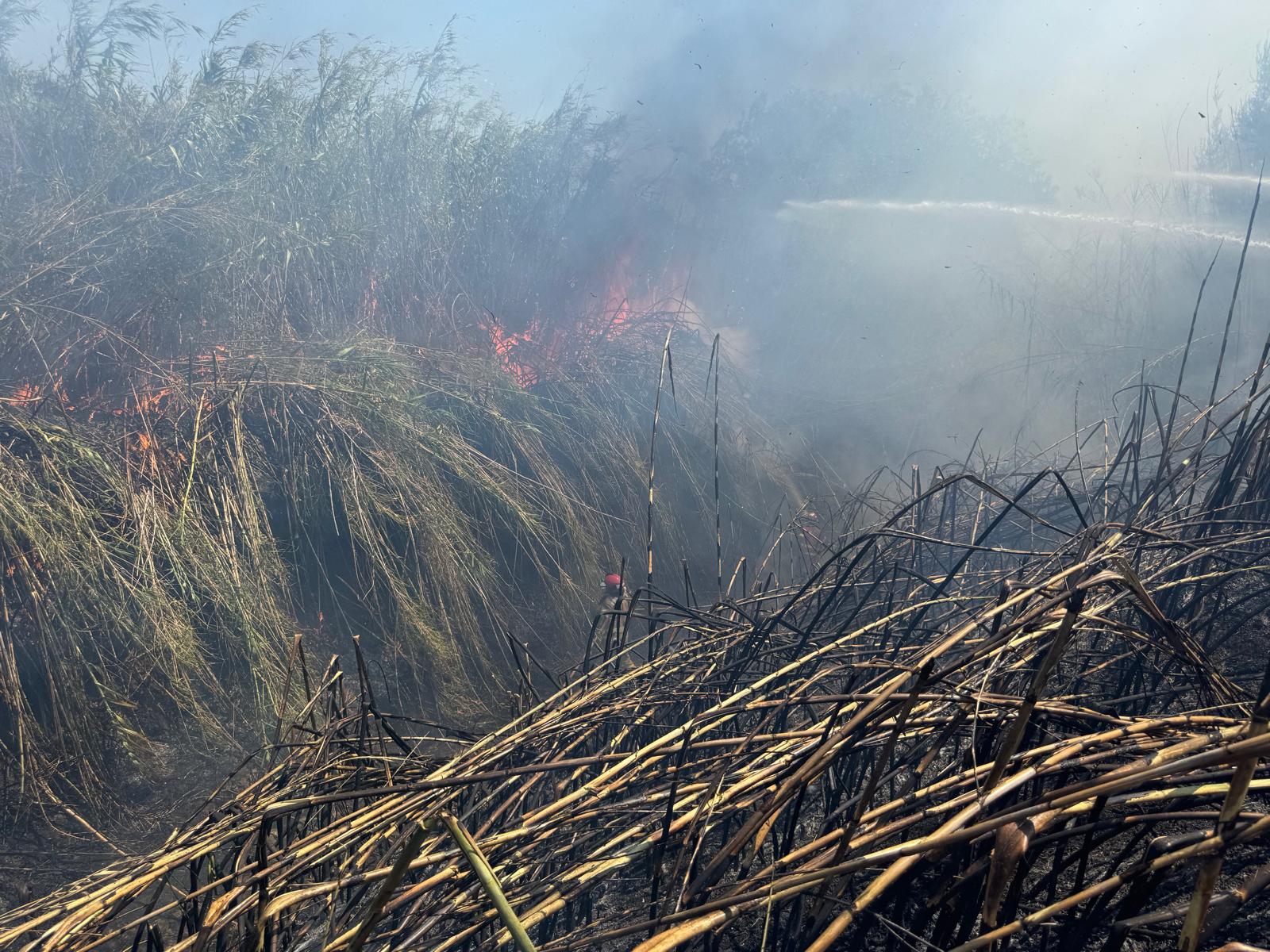 Grecia, sub asediul incendiilor. 60 de focare în doar 24 de ore
