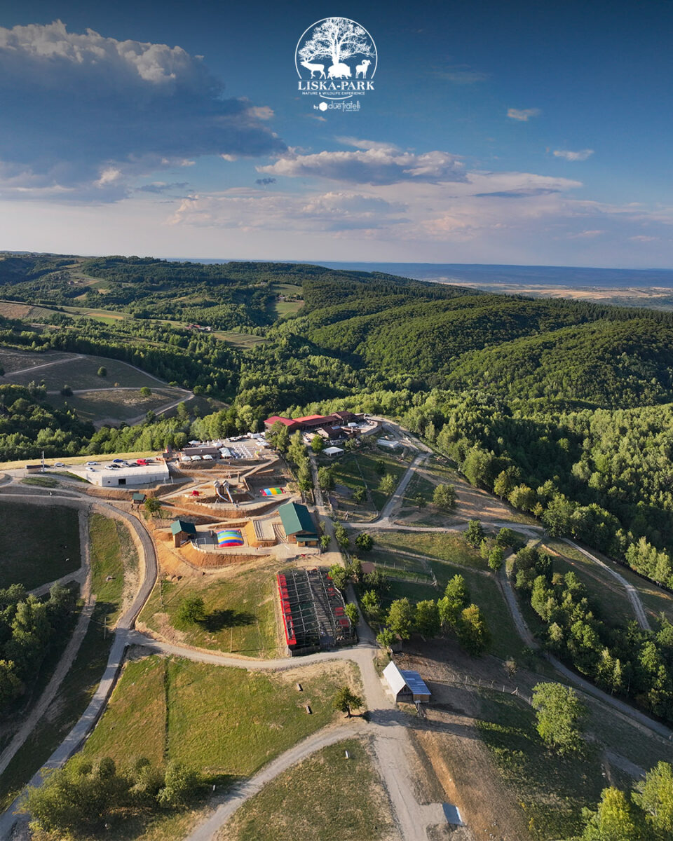 Un consilier local PNL Oradea a deschis un parc zoo ilegal pe 70 de hectare în Bihor. Închis de Garda de Mediu