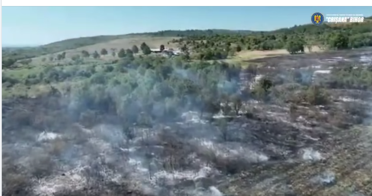 Incendiu devastator în Bihor: 20 de hectare de teren și sute de pomi distruși