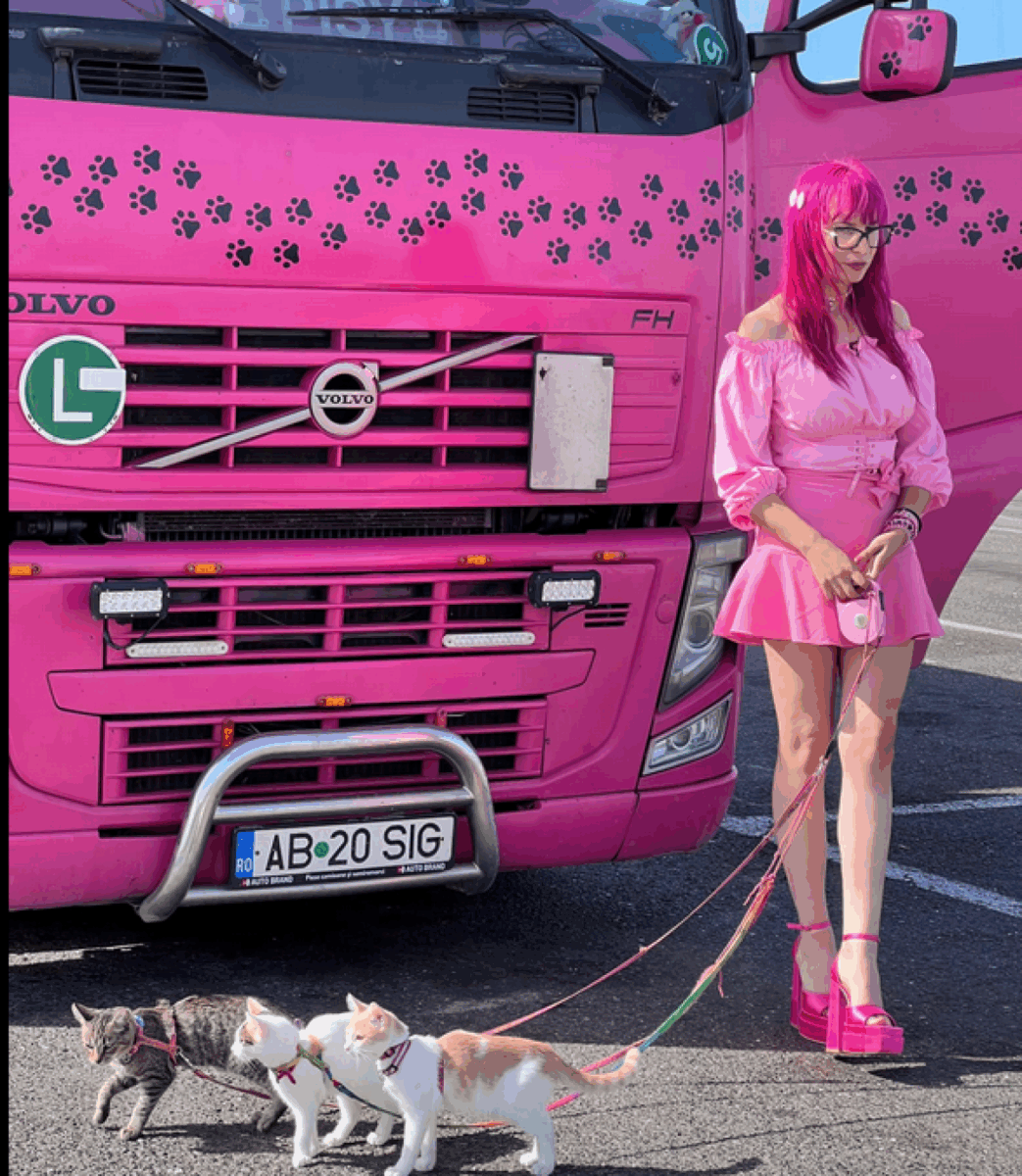 Regina șoselelor, Barbie de România, conduce un camion roz cu pisici