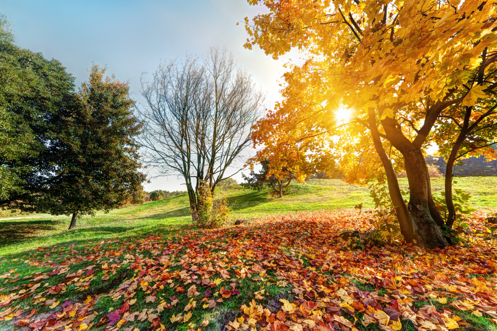 Toamna aduce temperaturi atipice. Prognoza ANM pentru septembrie