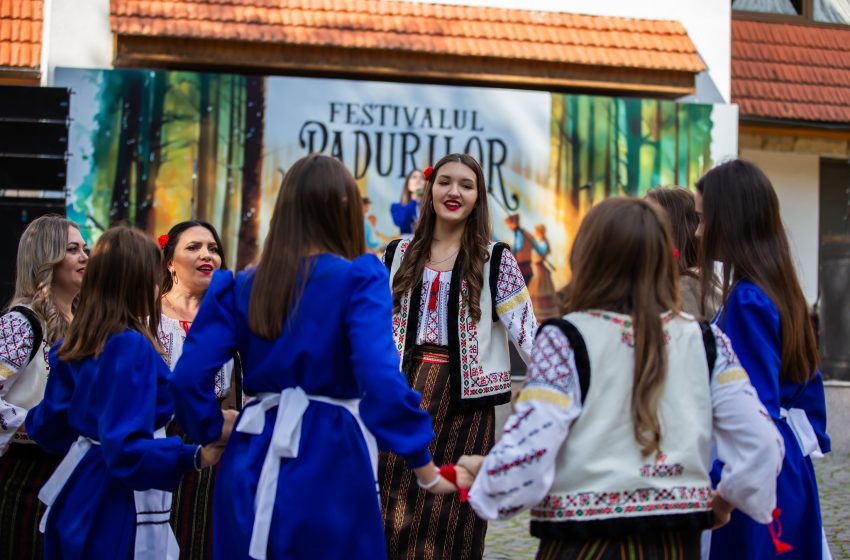 Festivalul Pădurilor de la Condrița. Transport gratuit pentru vizitatori și recomandări de circulație