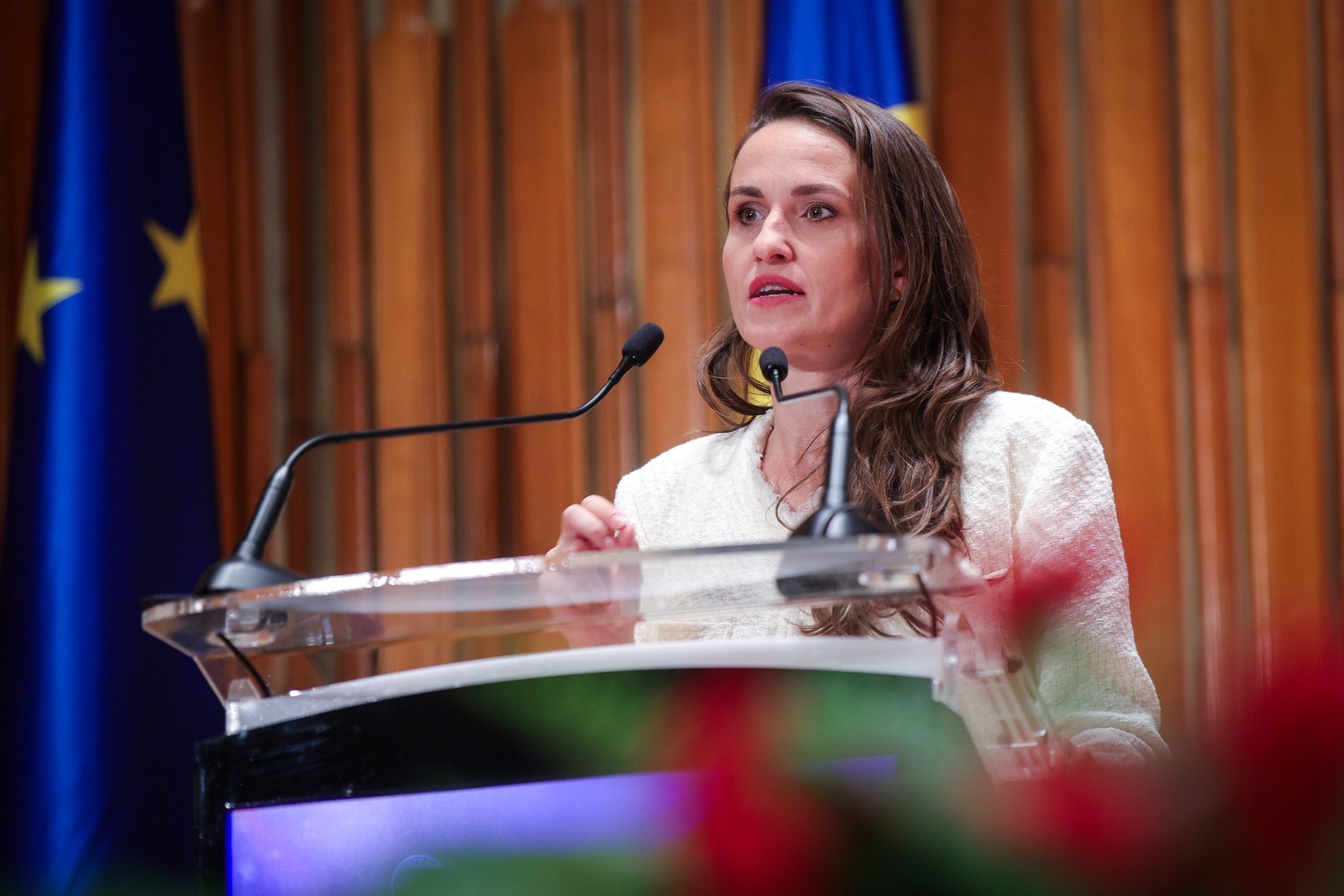 Oana Țoiu și consulul României, chemați la audieri în Comisia de politică externă pe tema evacuărilor din Emiratele Arabe Unite