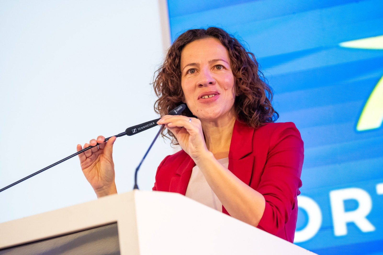 Roxana Mînzatu