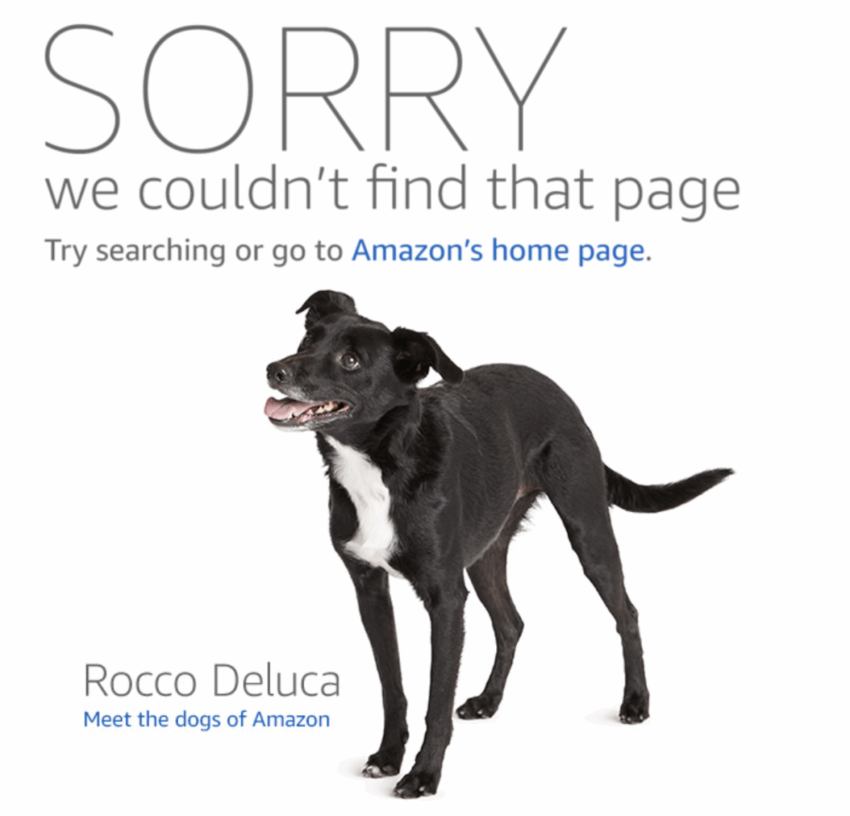 Controversă aprinsă după asasinarea lui Charlie Kirk: O „carte” a apărut cu o zi înainte. Amazon a retras anunțul