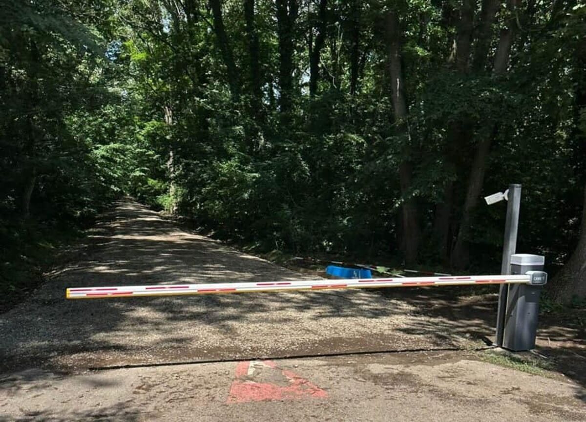 Federația Greenfield susține că drumul prin Pădurea Băneasa este legal datorită unui contract Romsilva