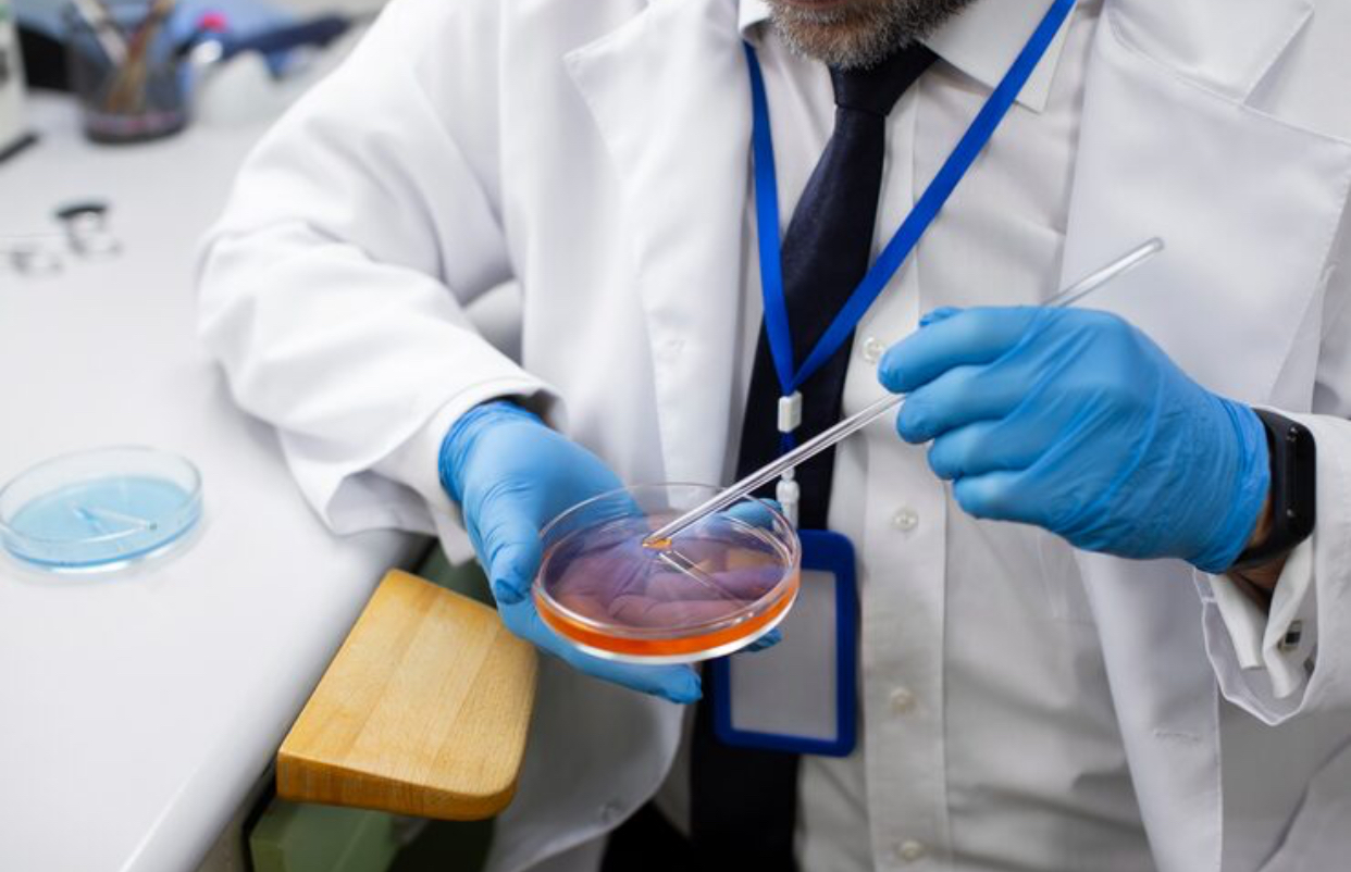 fertilizare in vitro