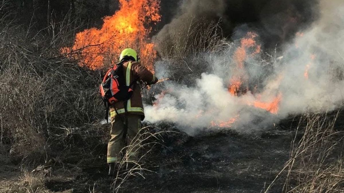 Specialiștii MApN verifică zona de lângă Plauru, după un incendiu izbucnit pe malul brațului Chilia