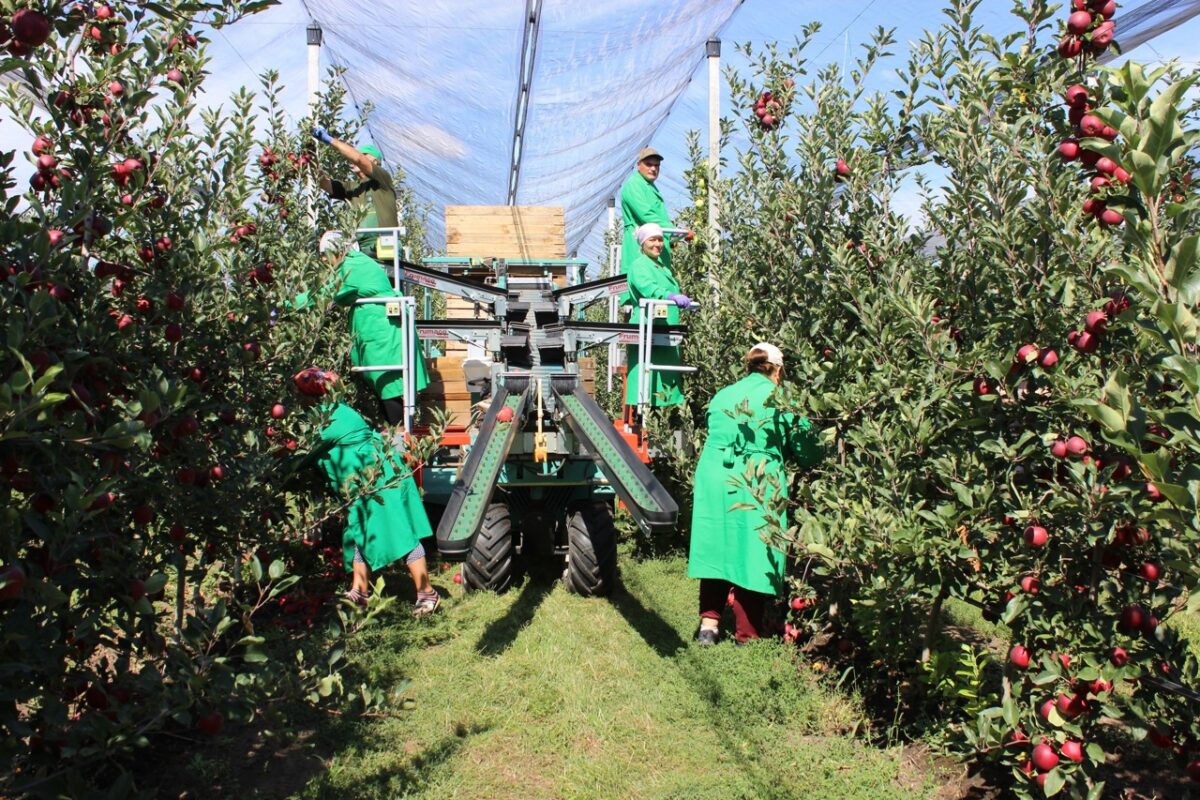 UE deschide piața. Șapte produse agricole din Moldova vor intra fără taxe vamale