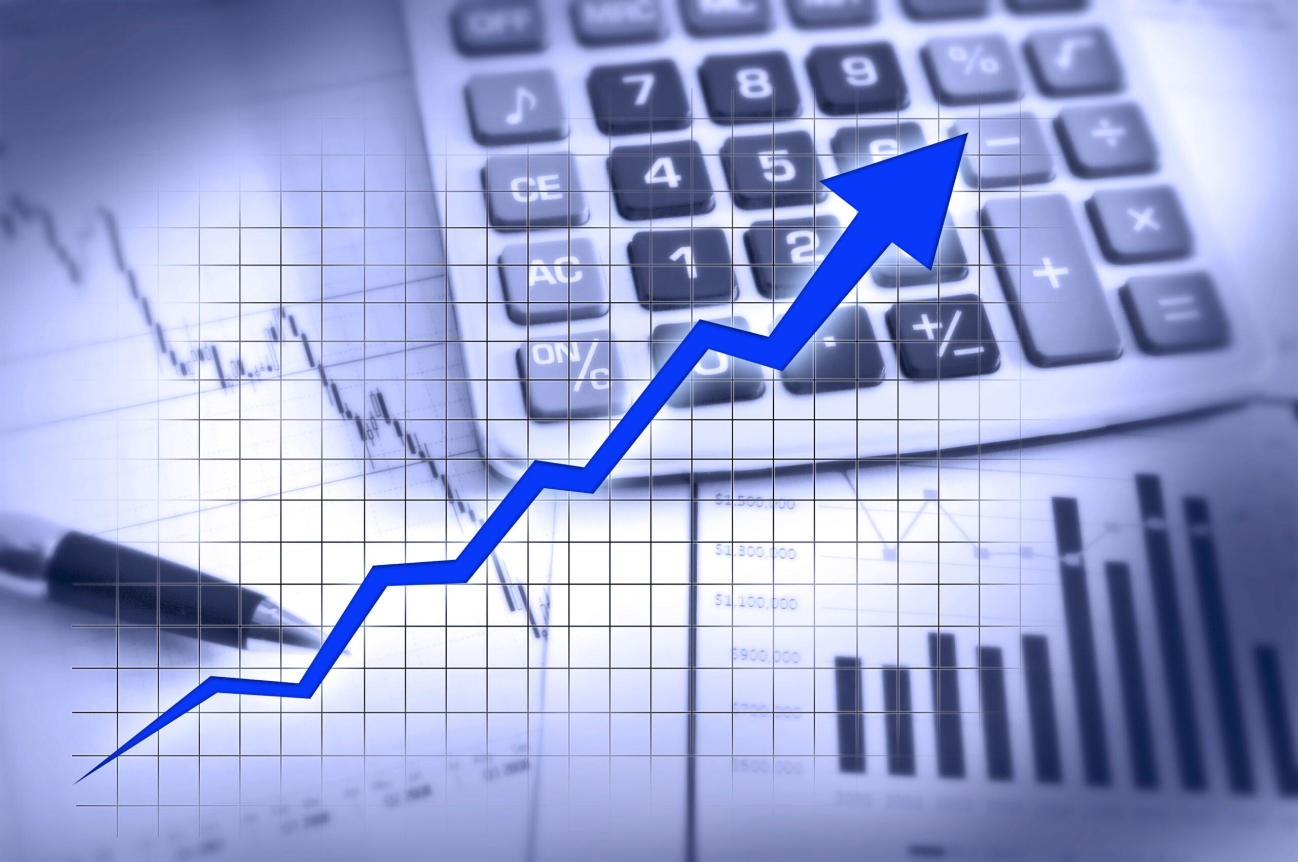 Noi suspiciuni în jurul șefei Fiscului Sector 1. Firma soacrei, profit spectaculos