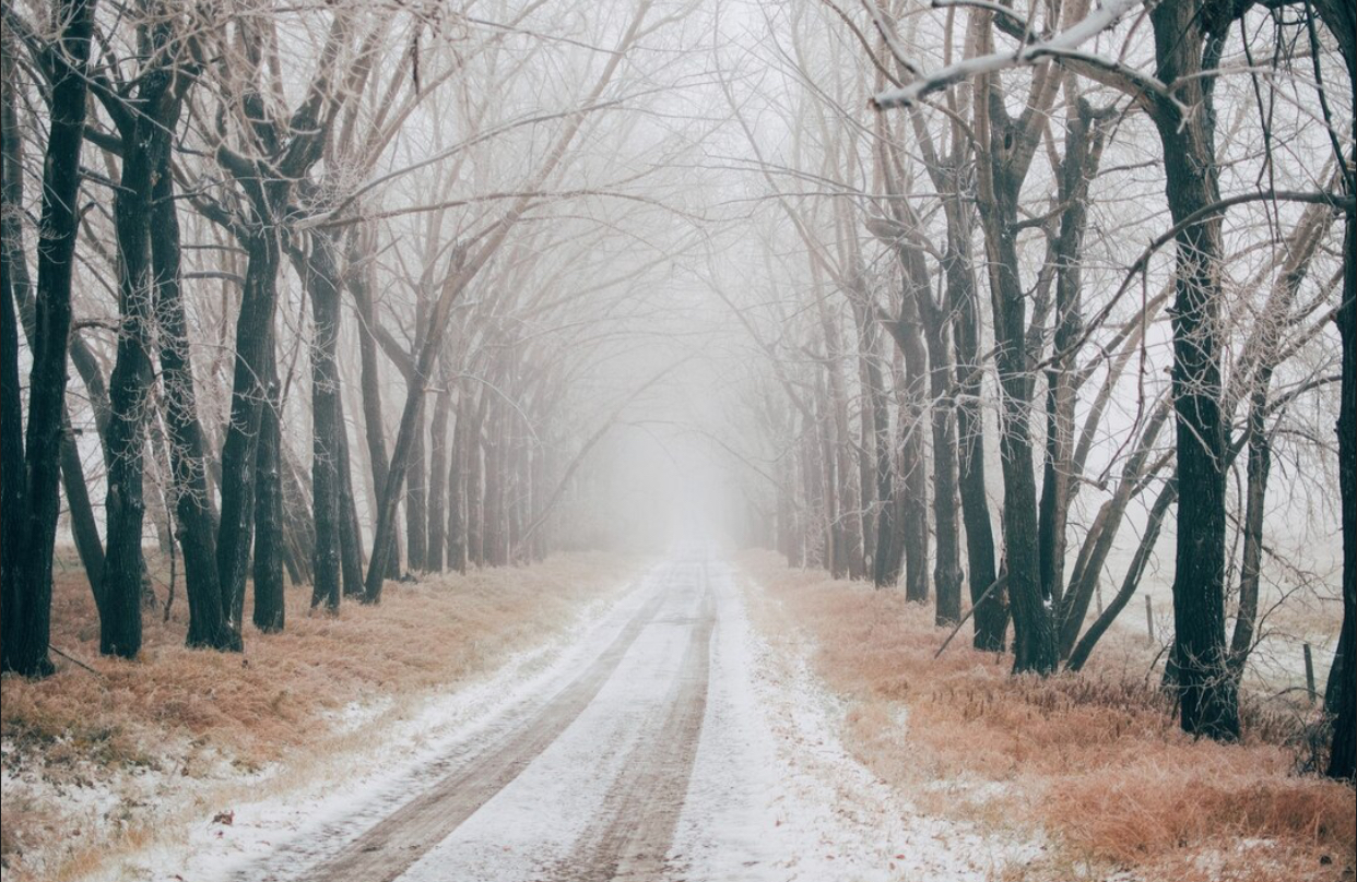 Prognoza meteo, 28 noiembrie. Frigul pune stăpânire pe întreaga țară. Ploi și vânt puternic în unele regiuni
