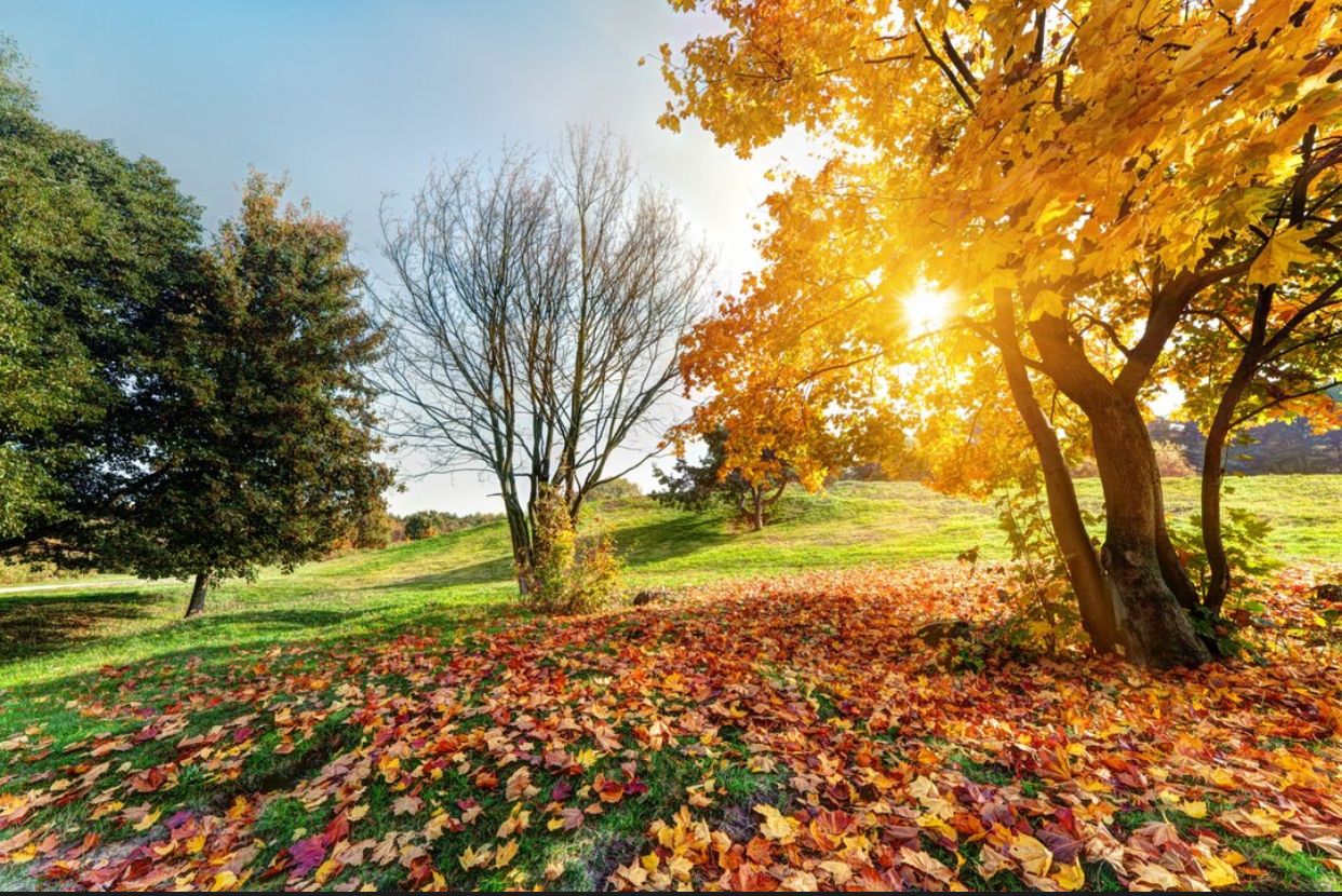 Weekendul aduce vreme de drumeții. Când încep ninsorile în țară