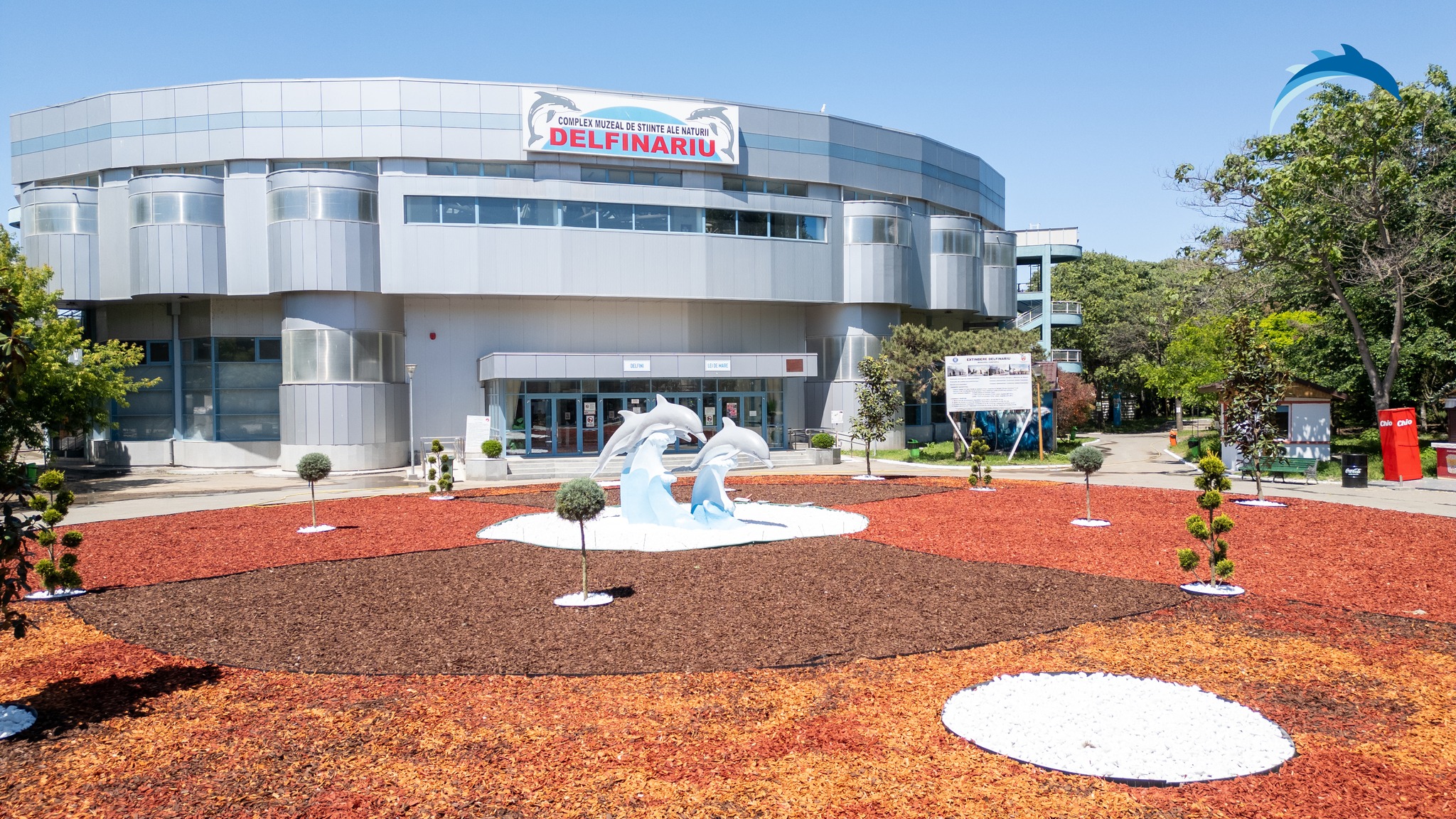 Cinci delfini, cinci povești: Constanţa devine casă pentru noi staruri acvatice din Malta