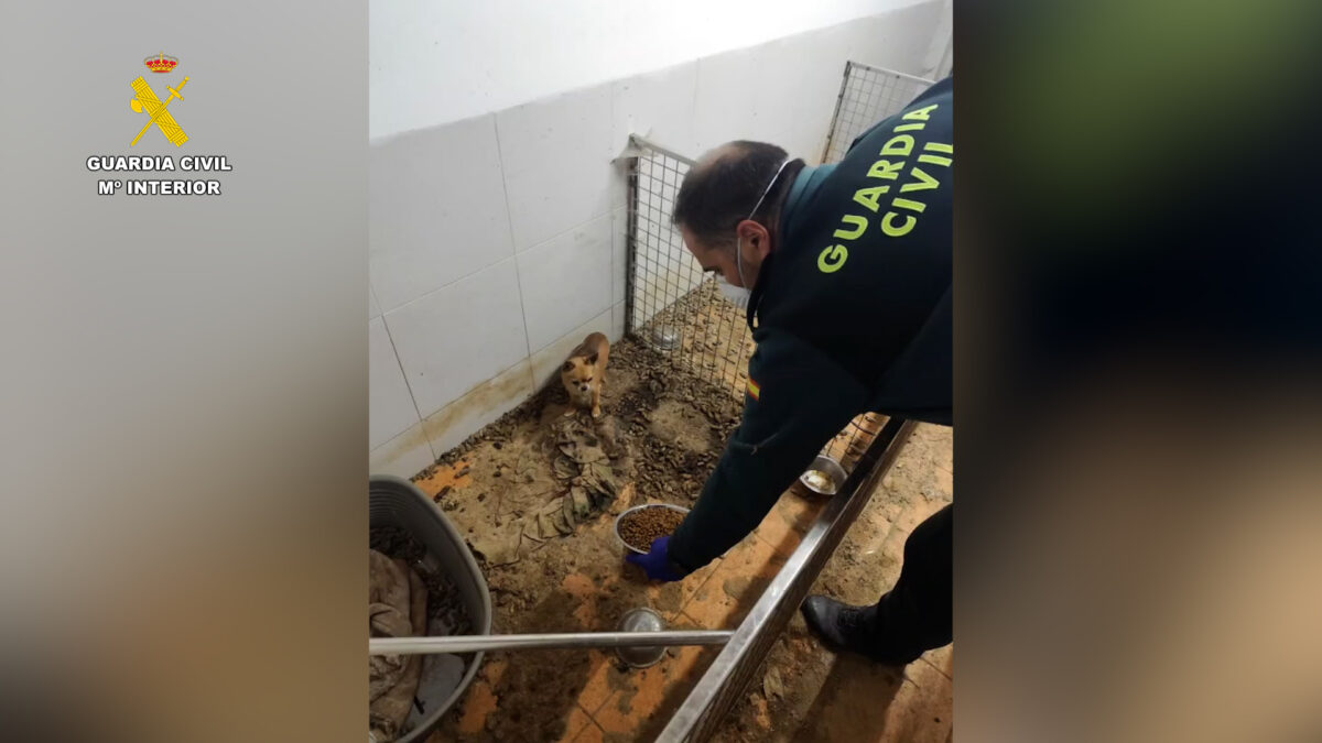 Administratorul depozitului unde au murit sute de animale, arestat de polițiștii din Spania