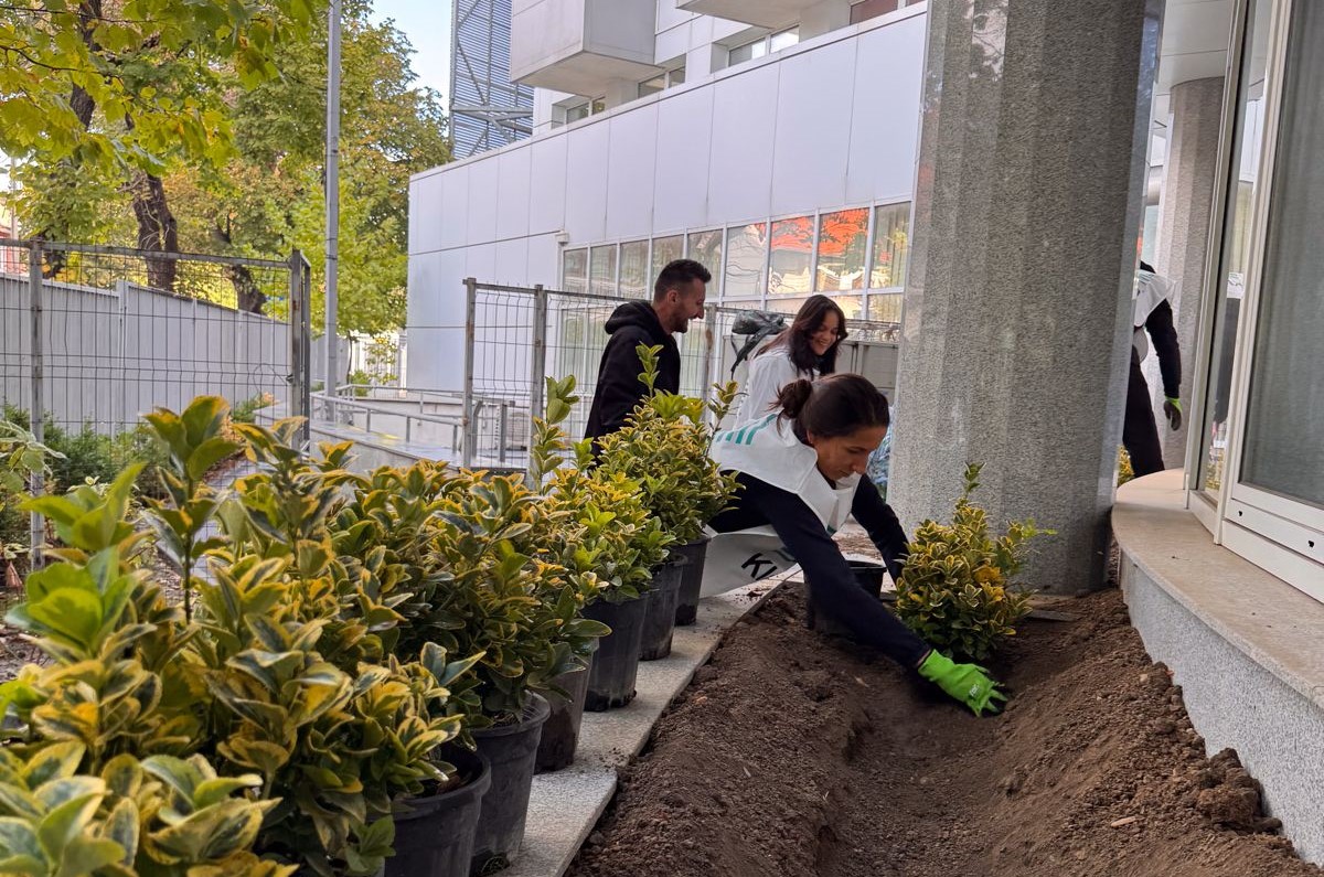 Inițiativă în sprijinul micilor pacienți. Curtea Spitalului de Copii „Dr. Victor Gomoiu” a fost transformată într-o grădină urbană