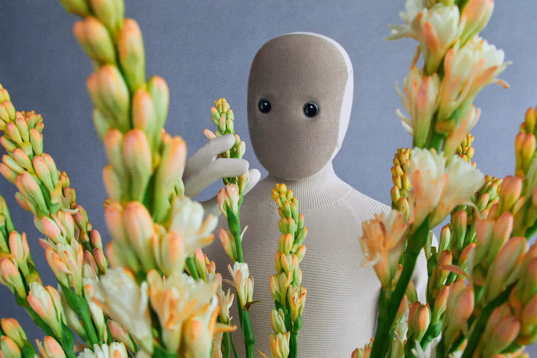 Robotul care îți schimbă viața: face curățenie, spală, dansează și vorbește cu tine. Video