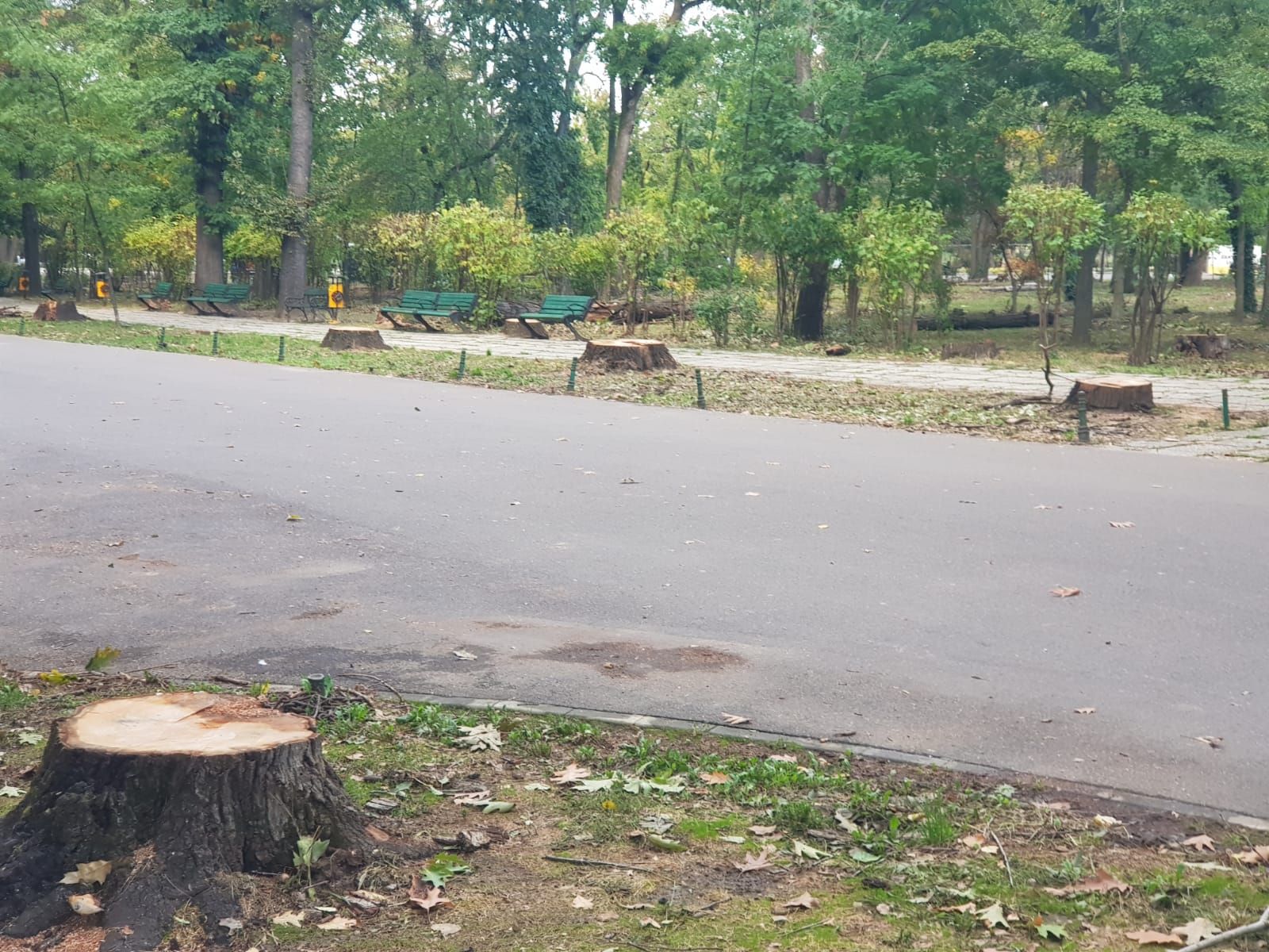 Parcul Herăstrău