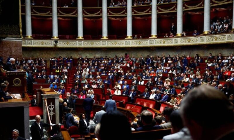 Franța dezbate revenirea unor pesticide interzise. Coaliția, împărțită