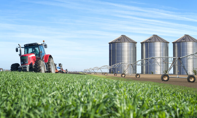 Consiliul Concurenței a amendat 21 de companii din domeniul agricol