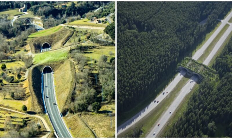 Autostrada Brașov – Făgăraș, mai aproape de startul lucrărilor. Urmează lansarea licitației