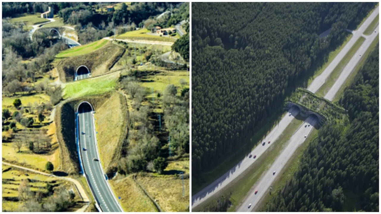 Autostrada Brașov – Făgăraș, mai aproape de startul lucrărilor. Urmează lansarea licitației