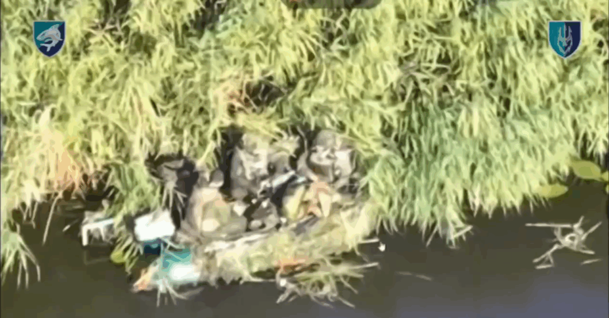 Soldații ruși, abandonați de propria armată în Delta Niprului