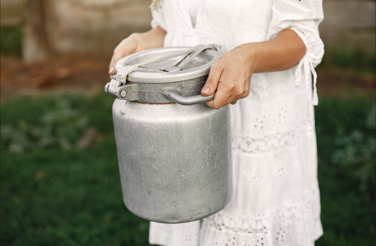 România, codașă în UE la producția de lapte de vacă. Cum au învățat fermierii să își valorifice producția pe piața restrânsă