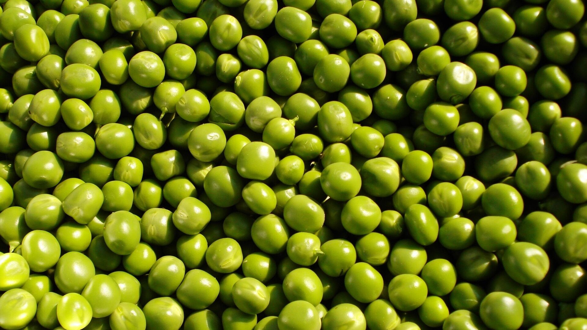 Mazăre