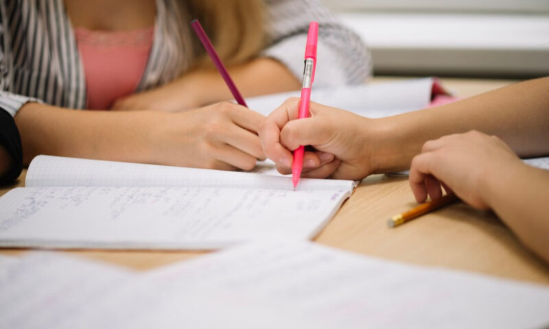 Vouchere pentru meditații. Propunerea făcută în contextul crizei din educație