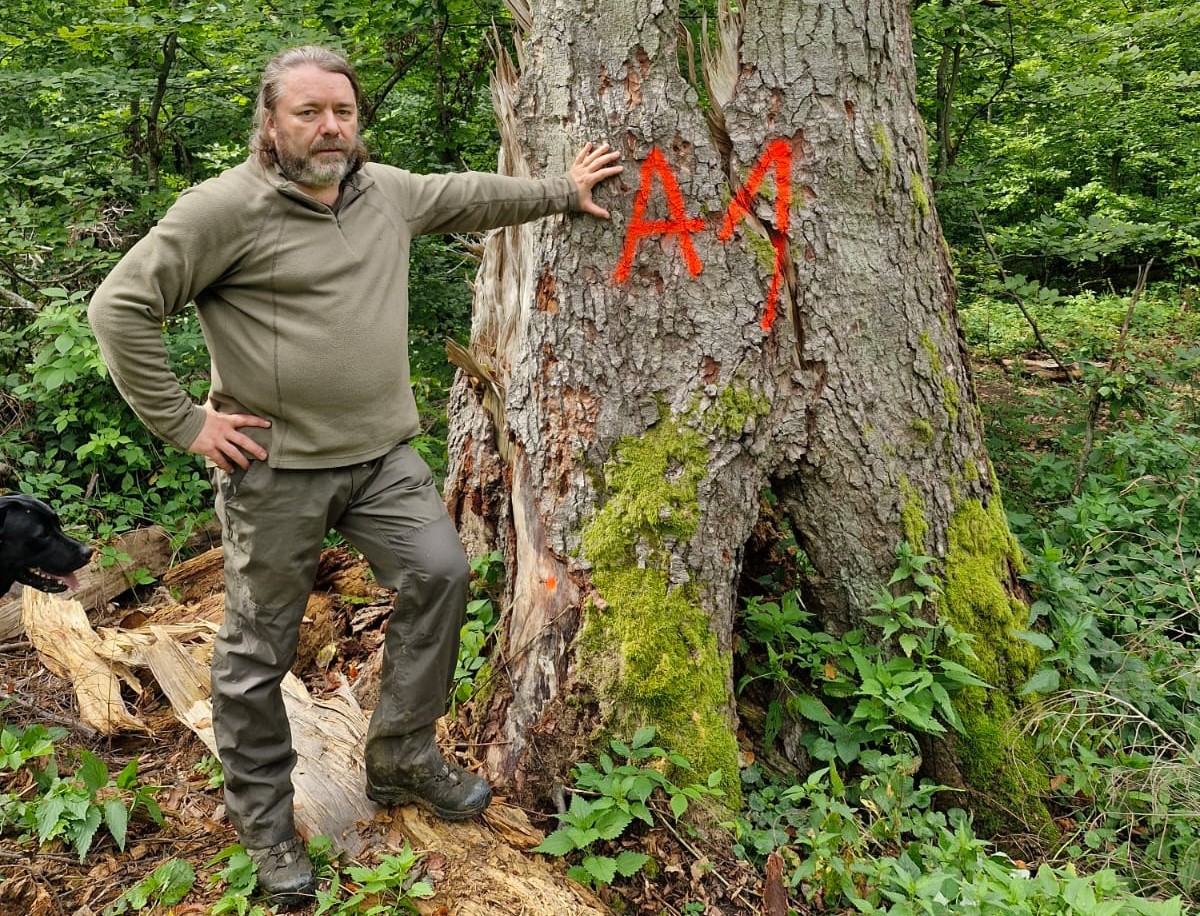 Dosare penale privind furturile din pădurile virgine UNESCO din Maramureș