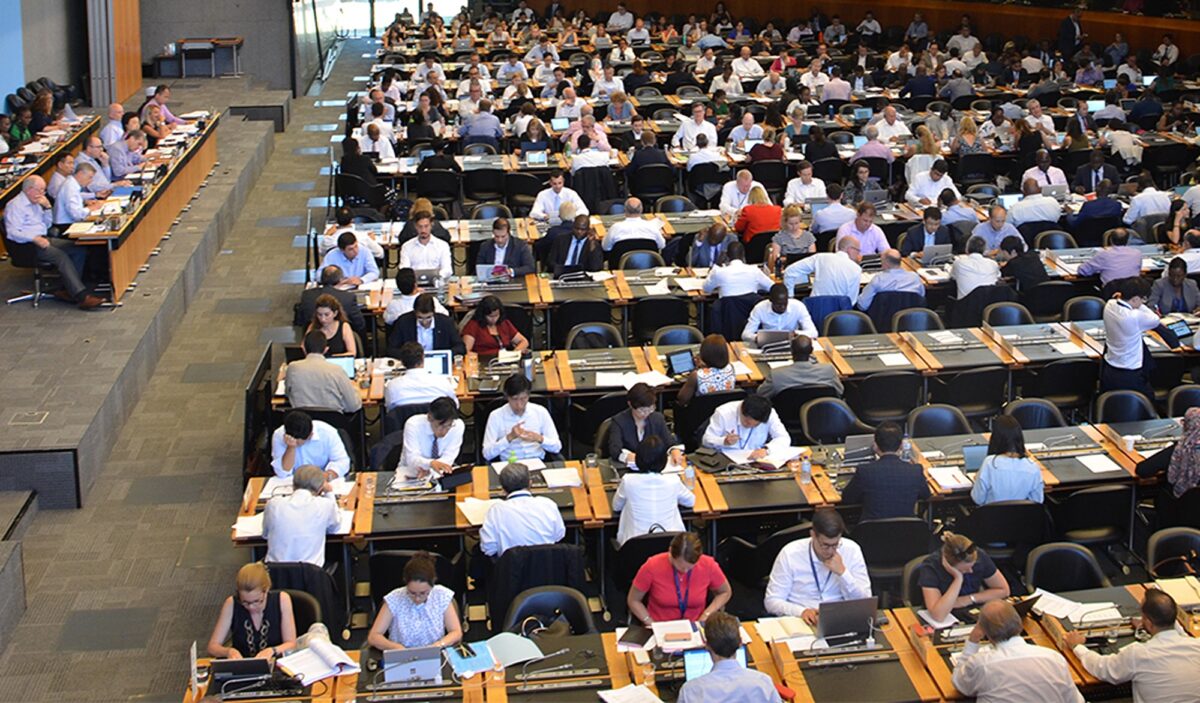 OMC anticipează o creștere a comerțului în 2025, urmat de o încetinire anul viitor