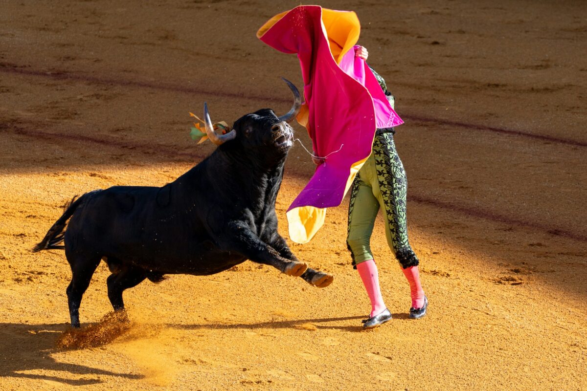 Un celebru comentator sportiv a murit. A fost ucis de un taur la un festival