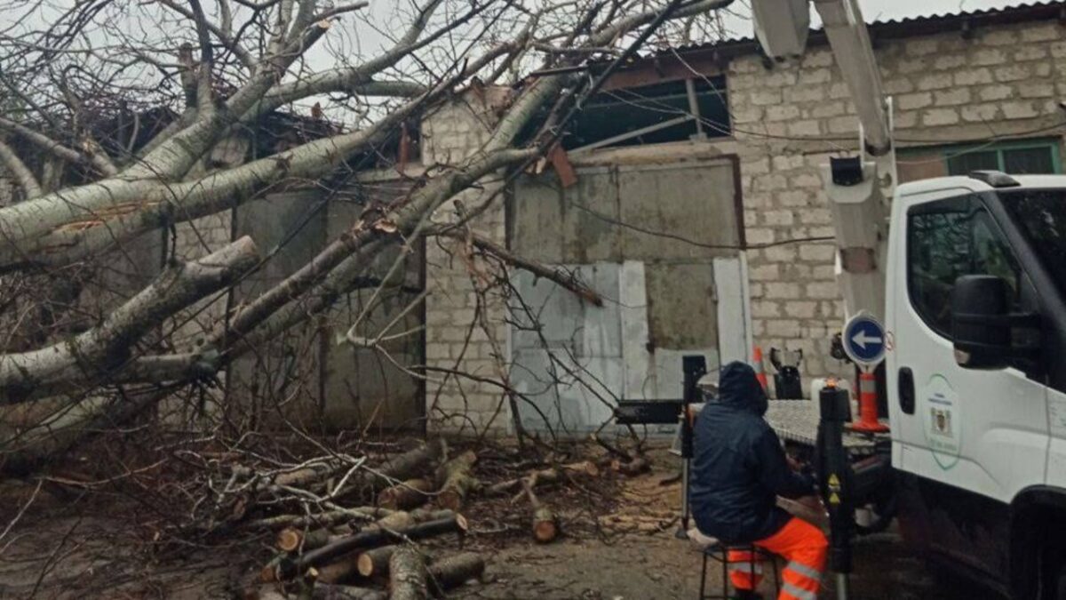 Ploile torențiale au făcut ravagii în Chișinău. Străzi inundate și copaci doborâți